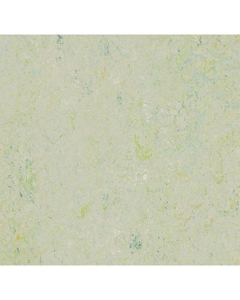 Marmoleum Splash 3430 Salsa Verde
