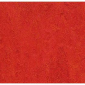 Marmoleum Click 333131 Scarlet 30x30