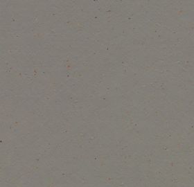 Marmoleum Cacoa 3589 Nori