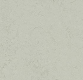 Marmoleum Concrete 3732 Asteroid