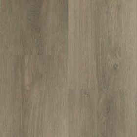 Montinique Charente XL 5461