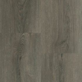 Montinique Charente XL 5462