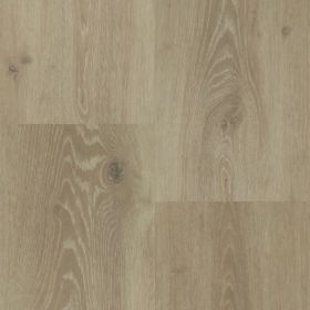 Montinique Chamonix XL 54804