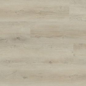 Montinique Progress XL 54815