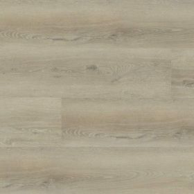 Montinique Progress XL 54816