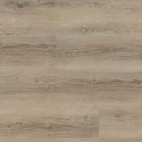 Montinique Progress XL 54817