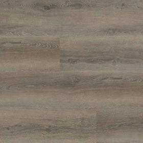 Montinique Progress XL 54818