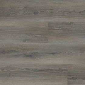 Montinique Progress XL 54819