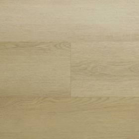 Montinique Clermont XL 54820