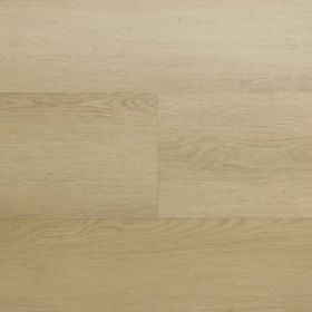 Montinique Clermont XL 54821