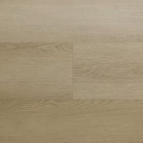 Montinique Clermont XL 54823