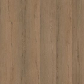 Ambiant Venera Dryback Dark Oak 8511