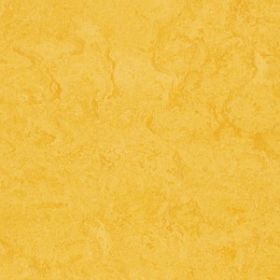 Marmoleum Fresco 3251 Lemon Zest