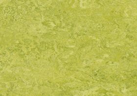 Marmoleum Real 3224 Chartreuse